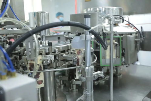 做一只醬鴨原來有這么多講究,看現(xiàn)代工藝如何還原老底子的味道